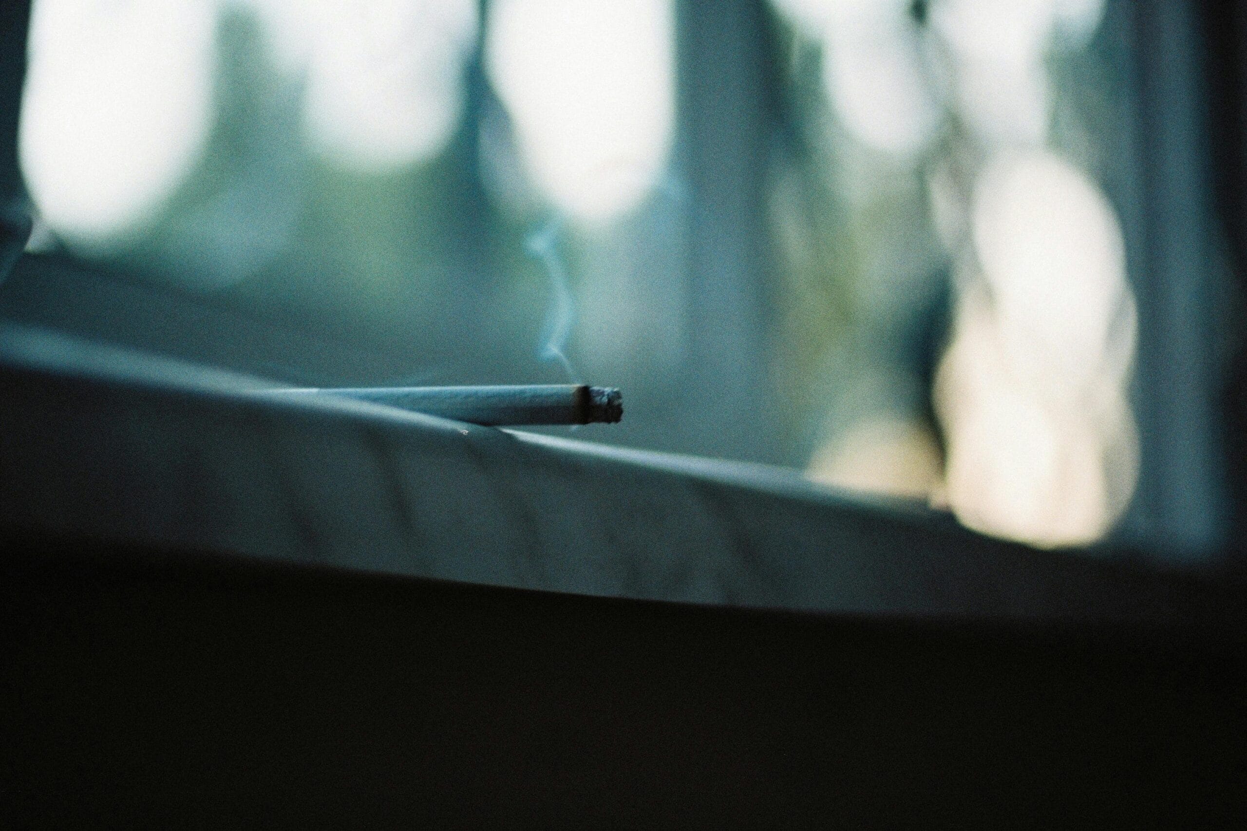 TABACO DAÑA EL PLANETA